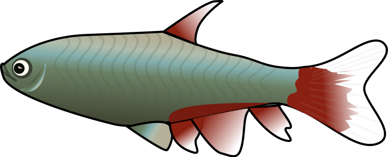 Small fish clipart