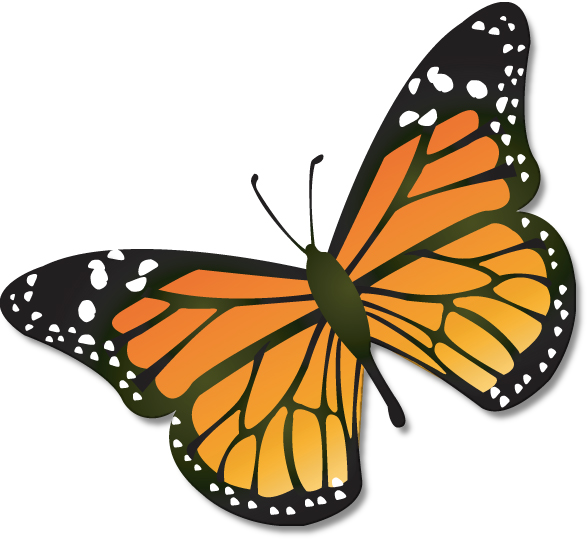 Free clipart monarch butterfly - ClipartFox