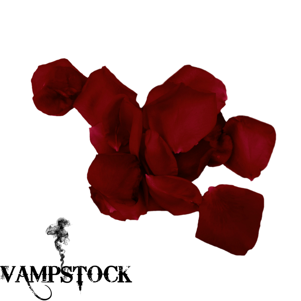 Rose Petal PNG 4 Vampstock by VAMPSTOCK on DeviantArt