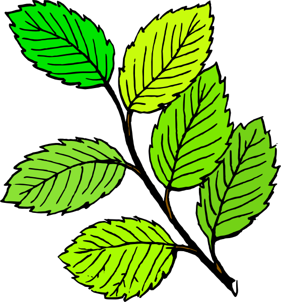 Summer Leaves clip art Free Vector