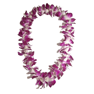 Hawaiian Wedding Leis | A Rainbow in Paradise