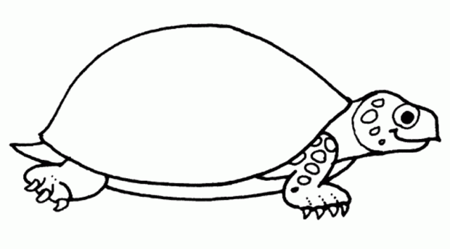 Turtle - Free Printable Coloring Pages