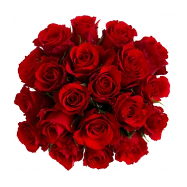 Red Roses Bouquet Delivery for Boyfriend | Birthday Flower Shop ...