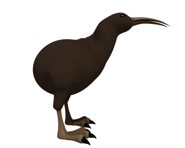 kiwi bird 3ds