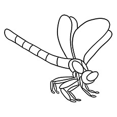 Top 10 Dragonfly Coloring Pages For Toddlers
