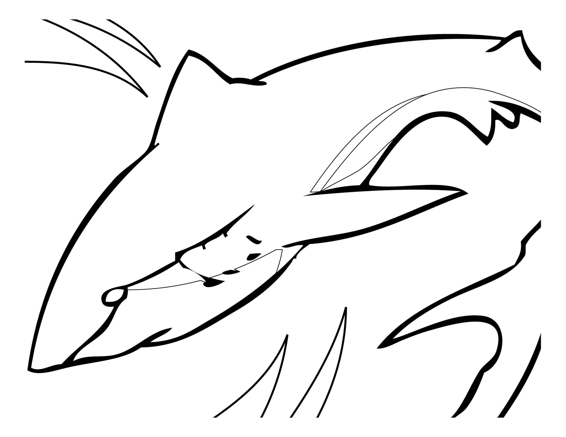 coloriage Ã? dessiner imprimer grand requin blanc