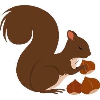Cartoon squirrel clip art - Clipartix