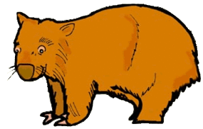 Wombat Drawing Outline Clipart - Free to use Clip Art Resource