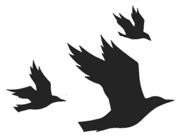 Crows clipart