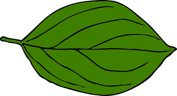 Leaves clip art of a leaf clipart clipartbold - Clipartix