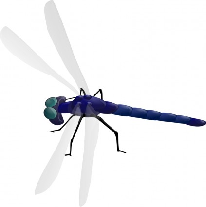 Dragonfly vector art free Free vector for free download (about 36 ...
