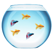 Fish Bowl Live Wallpaper