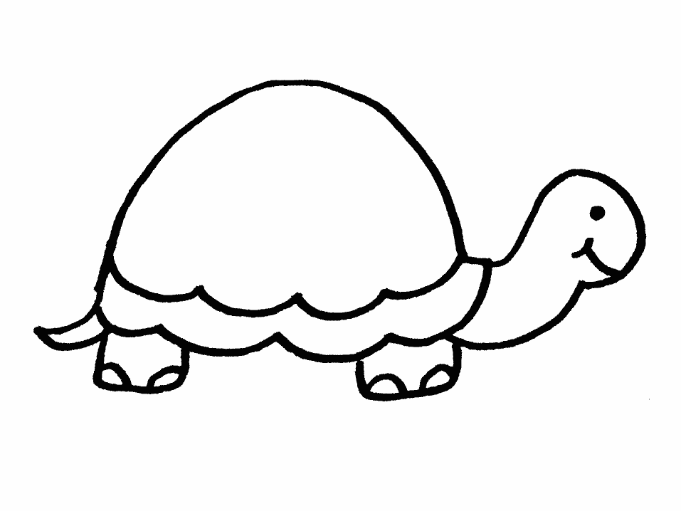 Turtle outline clipart