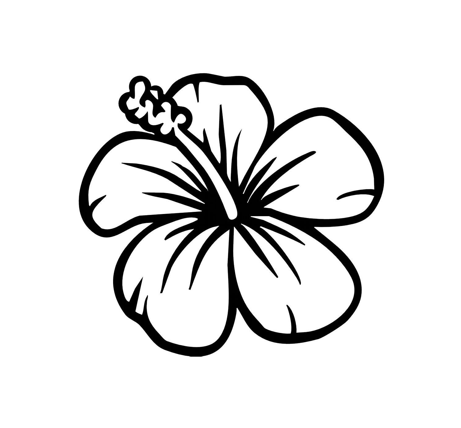 download flower drawing easy