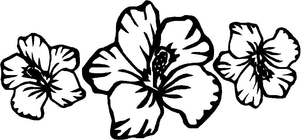 Coloring Pages Hawaiian Flowers - Google Twit