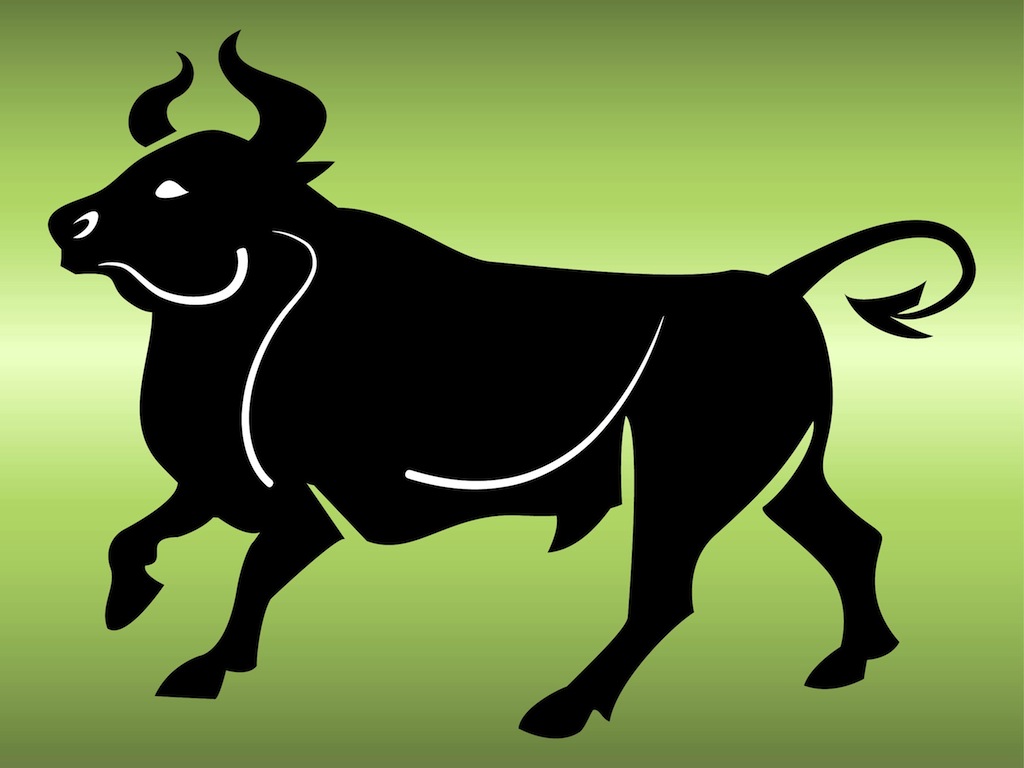 bull vector