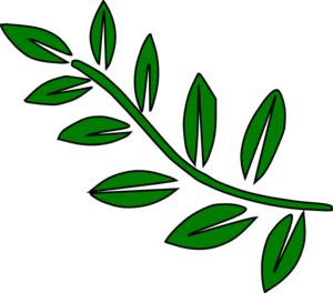 Stem and leaf clipart