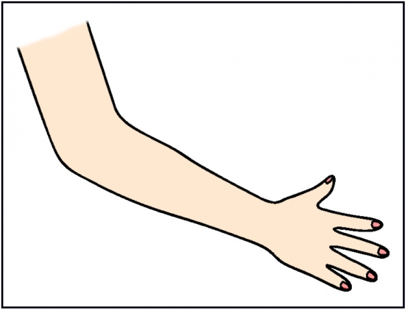 Clipart Arms And Hands Clipart Best Clipart Best