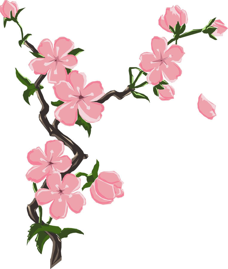 Sakura Flower Drawing - ClipArt Best