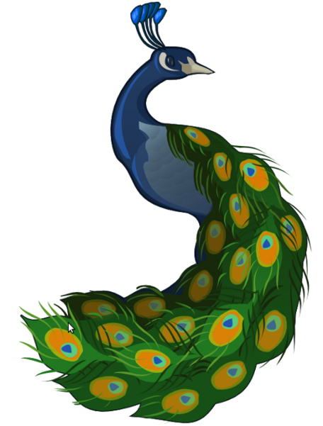 Peacock Drawings For Sale Clipart - Free to use Clip Art Resource