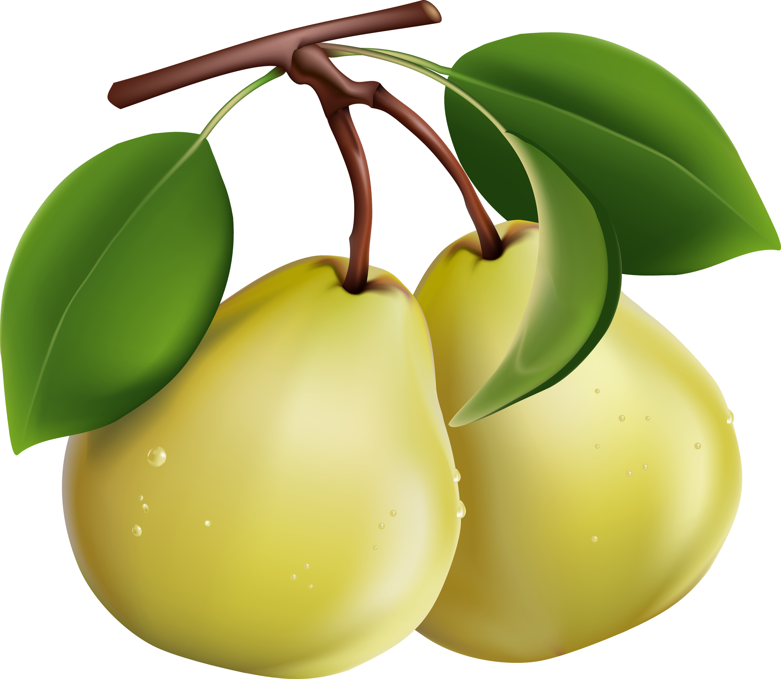 Pears Clipart | Free Download Clip Art | Free Clip Art | on ...