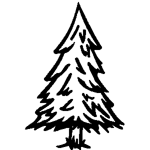 Evergreen Trees Clipart Black And White