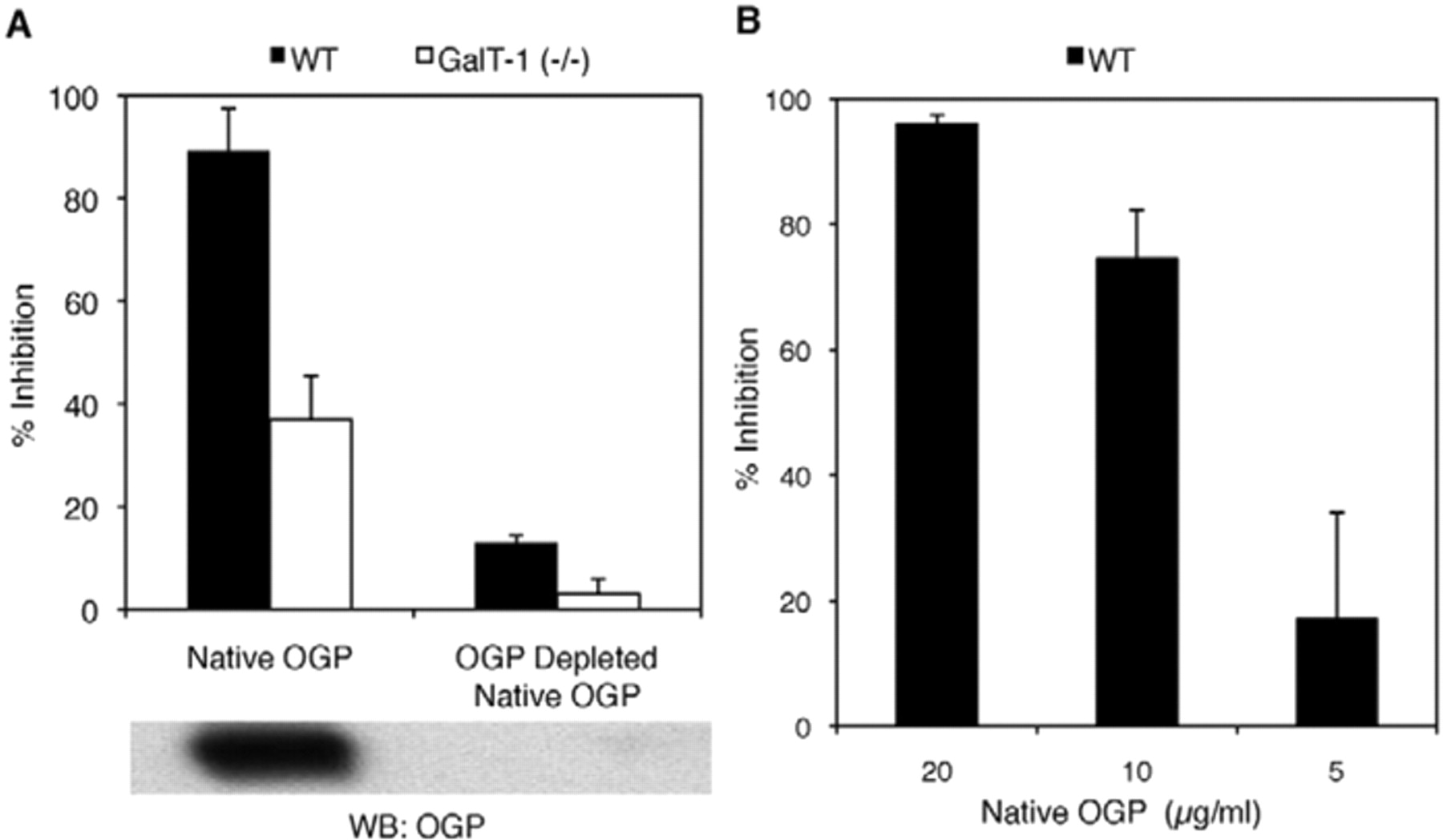 Mouse oviduct-specific glycoprotein is an egg-associated ZP3 ...