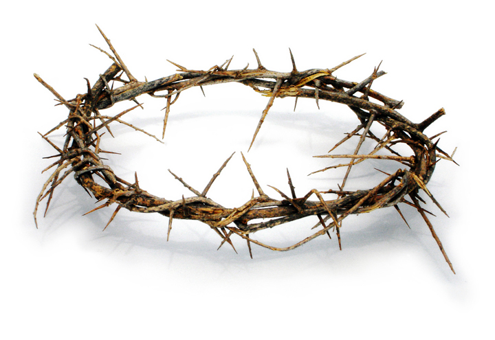 The Crown Of Thorns That Jesus Wore | King David