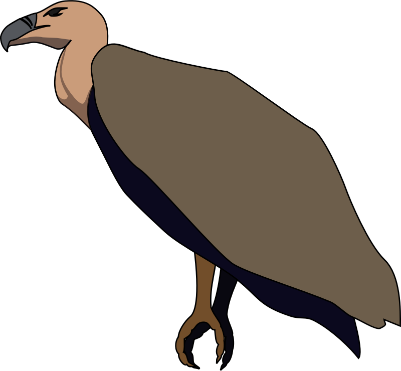 Free to Use & Public Domain Vulture Clip Art