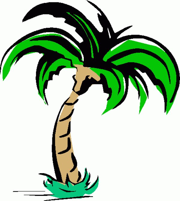 Free palm tree clip art images