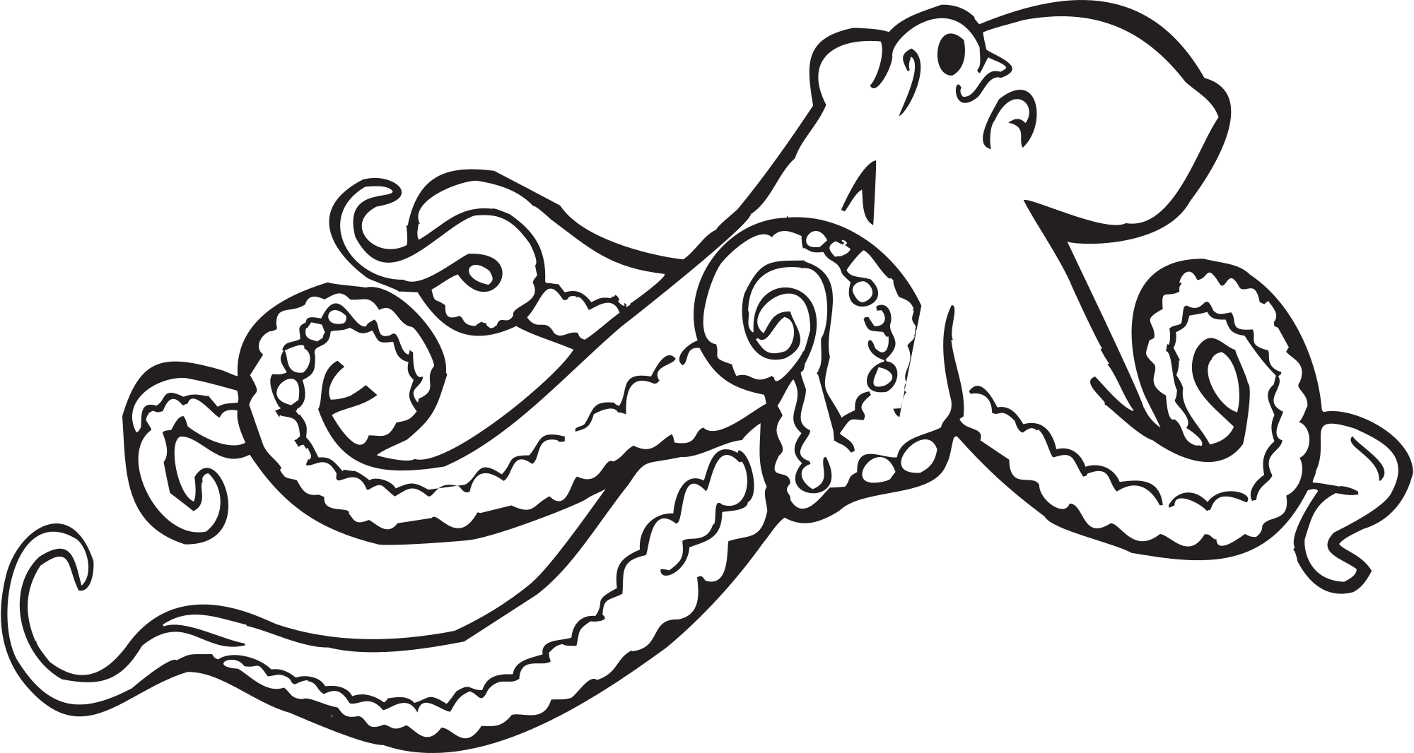 Clip art octopus clipart - Clipartix