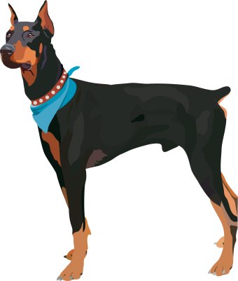 Dog clip art