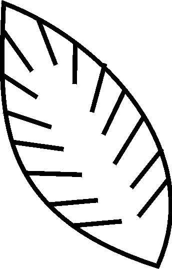 Palm leaf clipart black and white