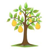 Fig tree clip art