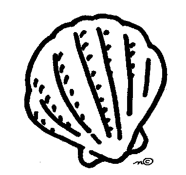 Sea shell clipart