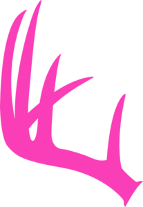 Deer antlers clipart vector