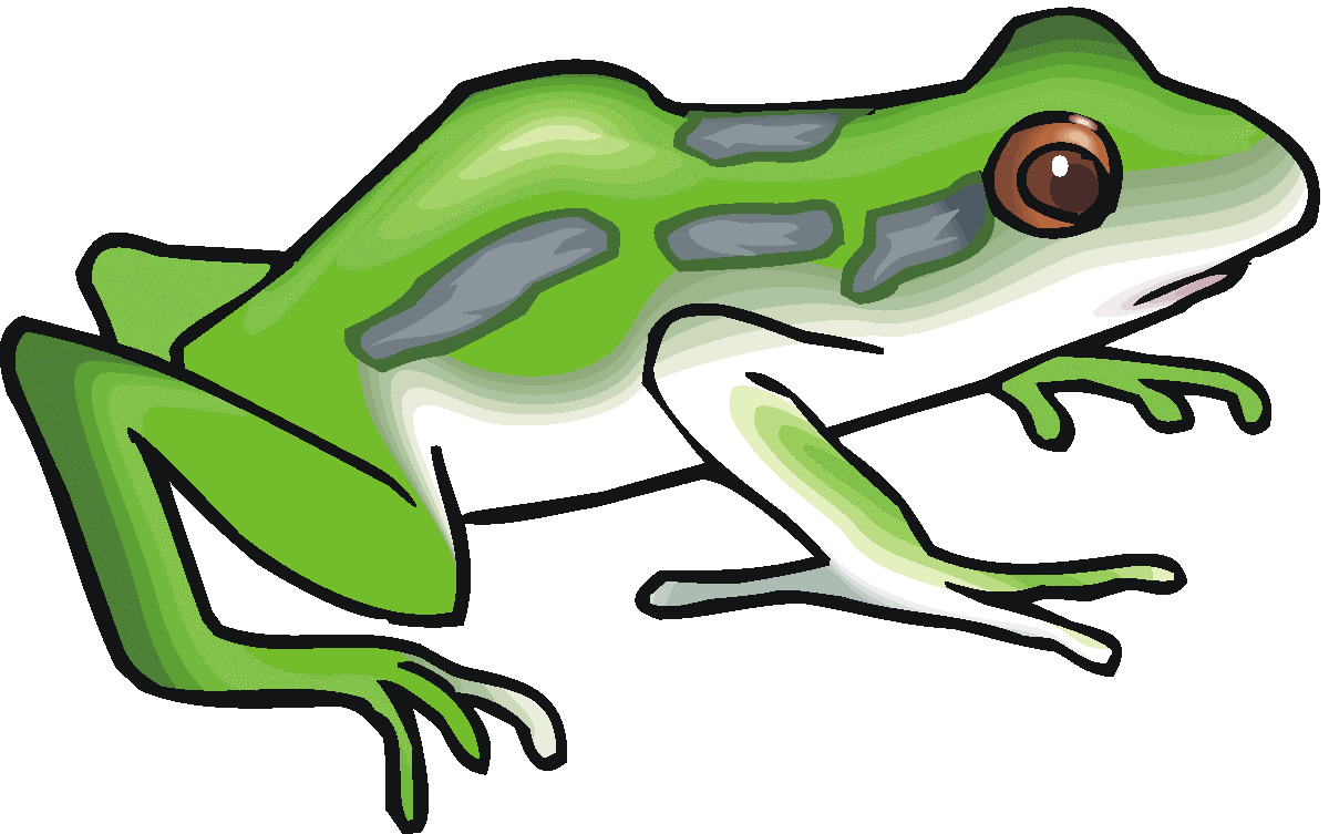 Pictures Of Frogs | Free Download Clip Art | Free Clip Art | on ...