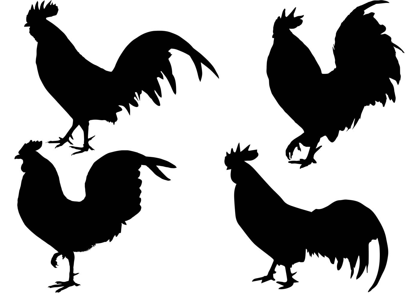 Free Vector Rooster Set - Download Free Vector Art, Stock Graphics ...