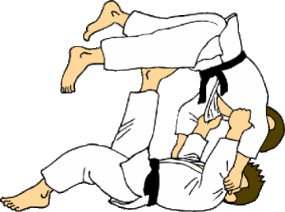 Jiu Jitsu Vector Logos Download Free Seeklogo Clipart - Free to ...