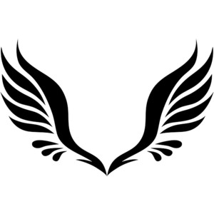 Angel Wings - Volume I - Polyvore