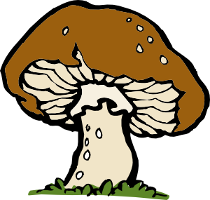 Mushroom 20clipart - Free Clipart Images