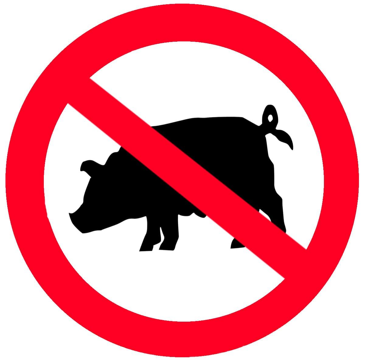 Why don't Muslims eat pork? - WhyQuranism