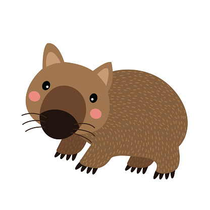 Wombat Cartoon - ClipArt Best