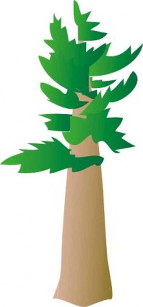 White Pine Tree Clip Art | Free Vector Download - Graphics,