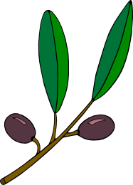 Olive Leaf Clipart