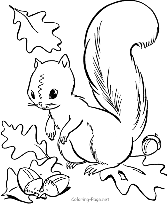 Squirrel Template - AZ Coloring Pages