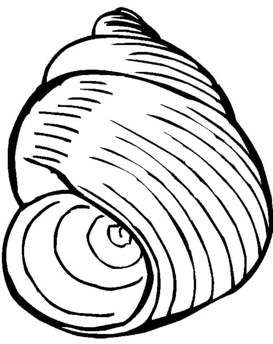 printable-seashells-clipart-best