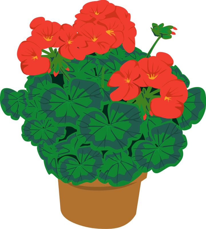 Pot Plant Clipart Royalty FREE Flower Images | Flower Clipart Net