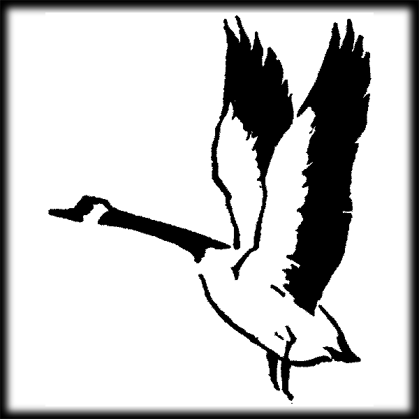 Duck hunting clipart