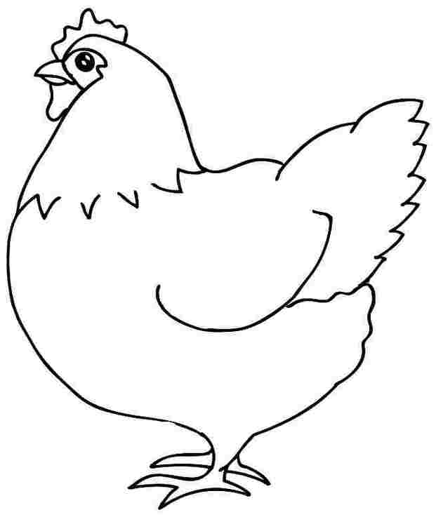 Picture Of Hen In Drawing Clipart - Free to use Clip Art Resource